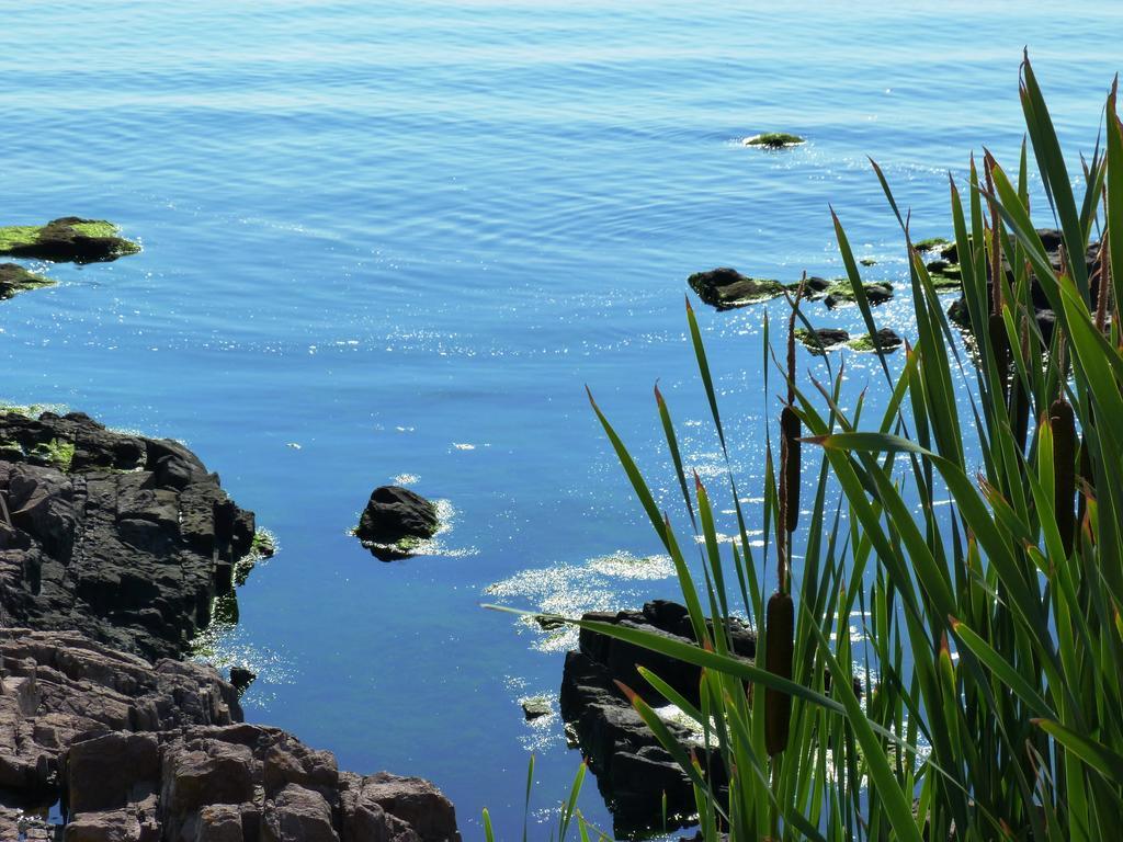 Sea View Apartments Sozopol Eksteriør billede