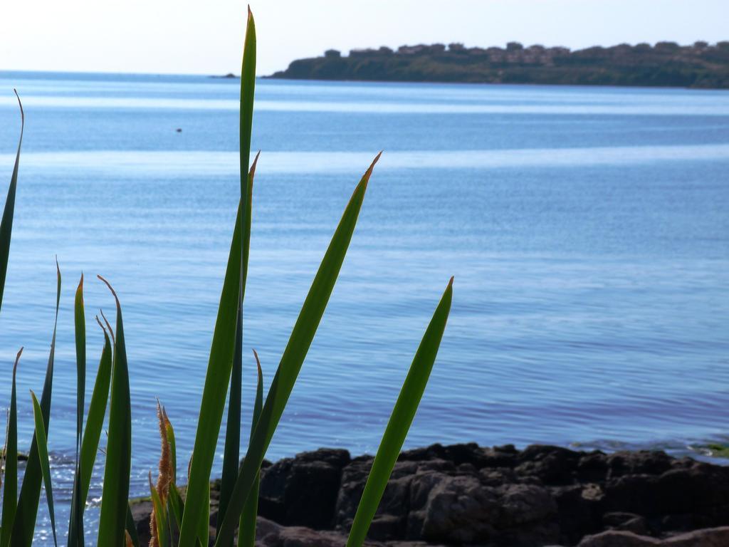 Sea View Apartments Sozopol Værelse billede
